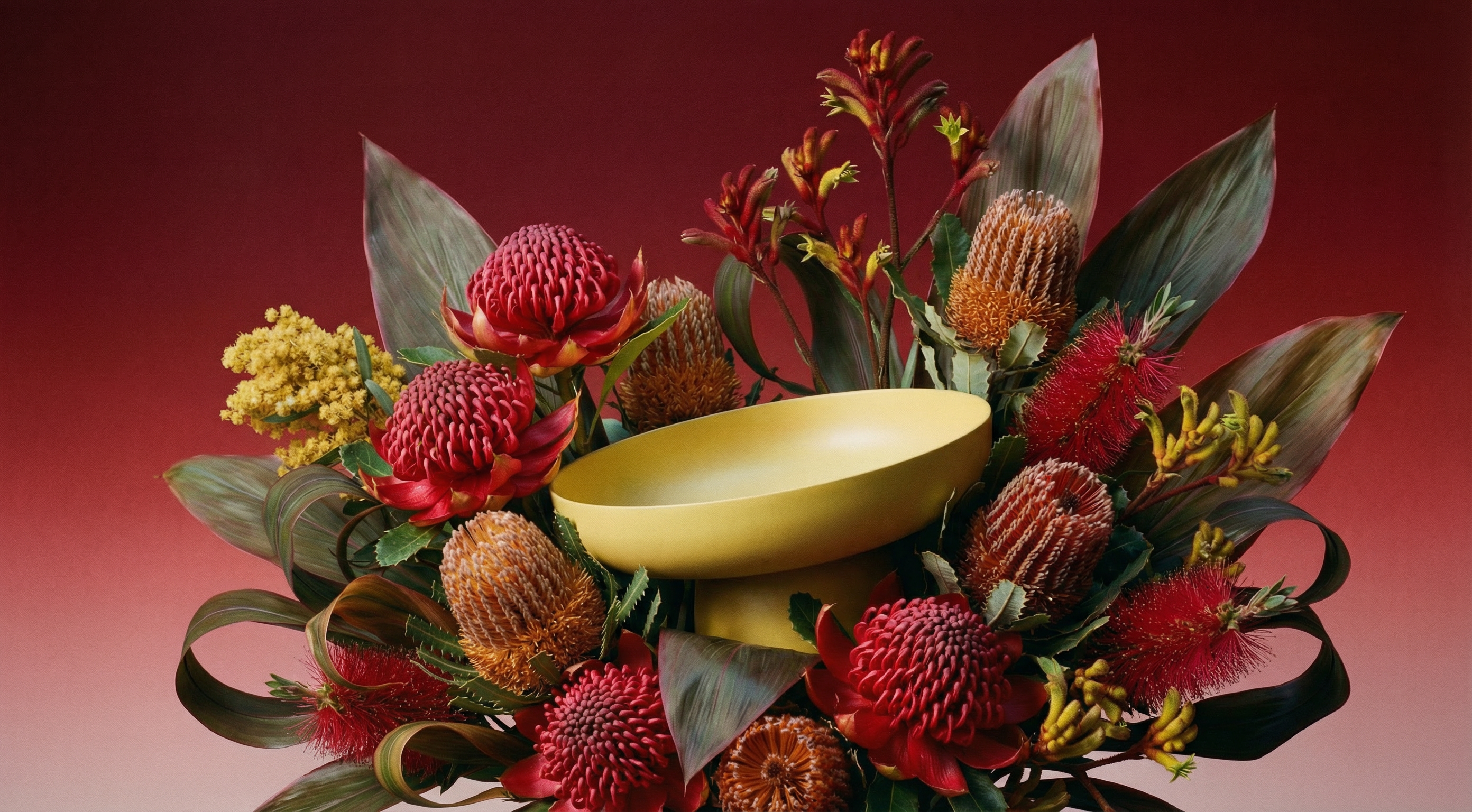 The Runda Bowl in Citron, centred within a textural arrangement of Waratahs and Banksias. A sculptural form in quiet confidence, designed for the modern host.